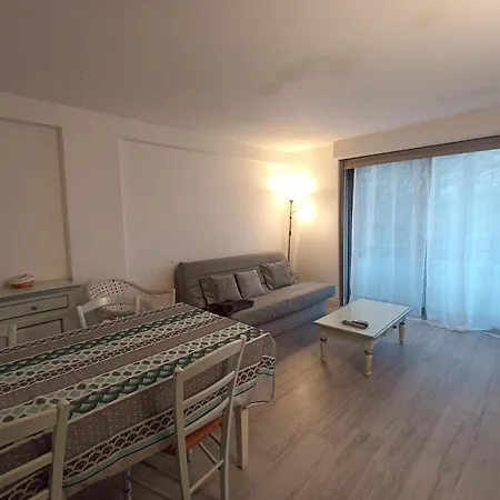 T2 Confortable A Avec Climatisation Et Wifi - Fr-1-338-598 *